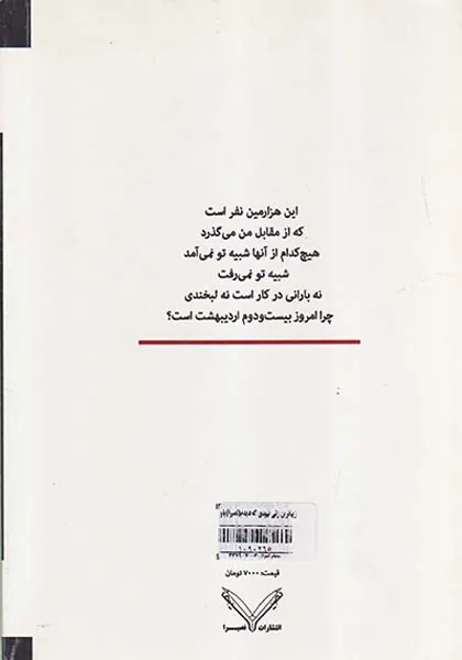 زیباترین زنی نبودی که دیدم